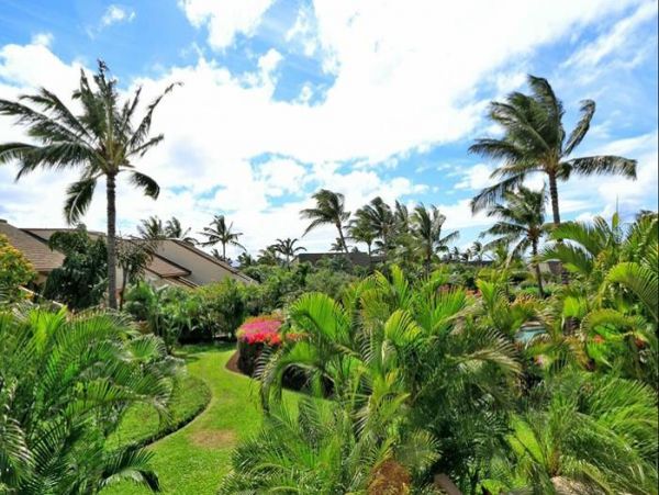 Wailea Condo 967642
