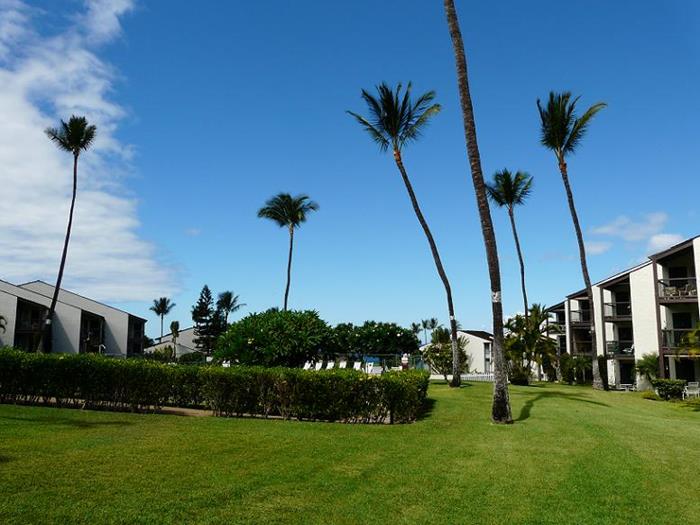 Wailea Condo 967649