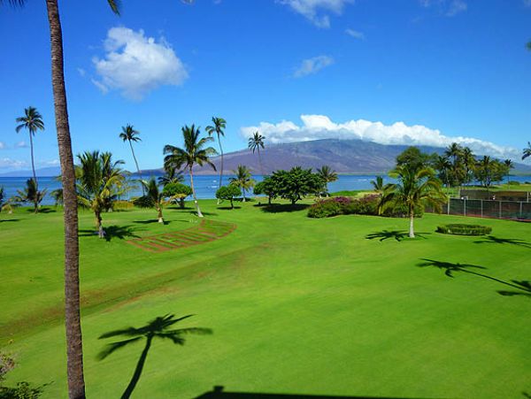 Kihei Condo 967652