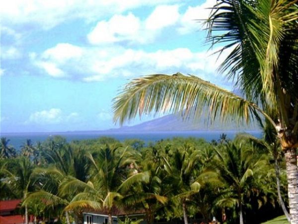 Wailea Condo 967660