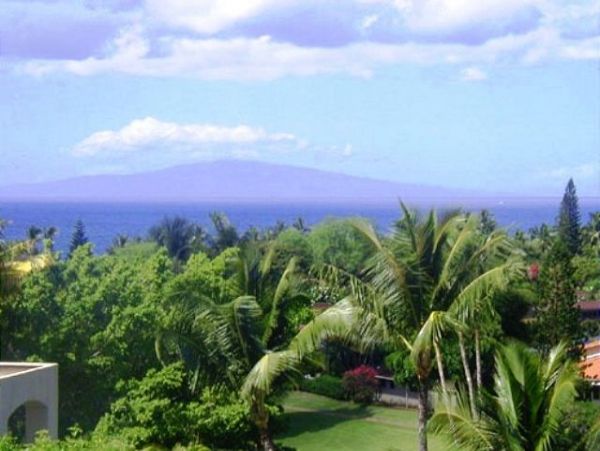 Wailea Condo 967660