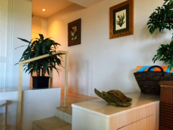 Wailea Condo 967662