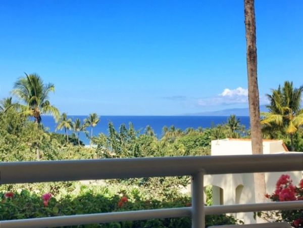 Wailea Condo 967662