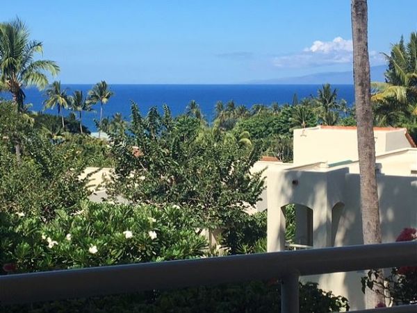 Wailea Condo 967662