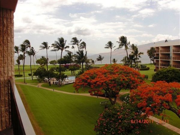 Kihei Condo 967666