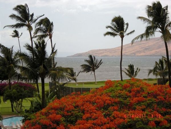 Kihei Condo 967666