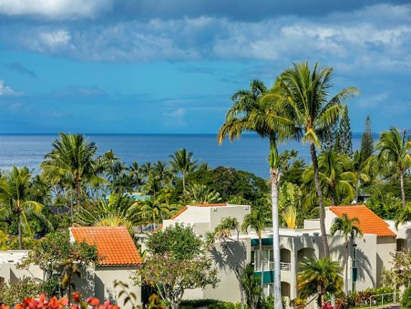Wailea Condo 967672