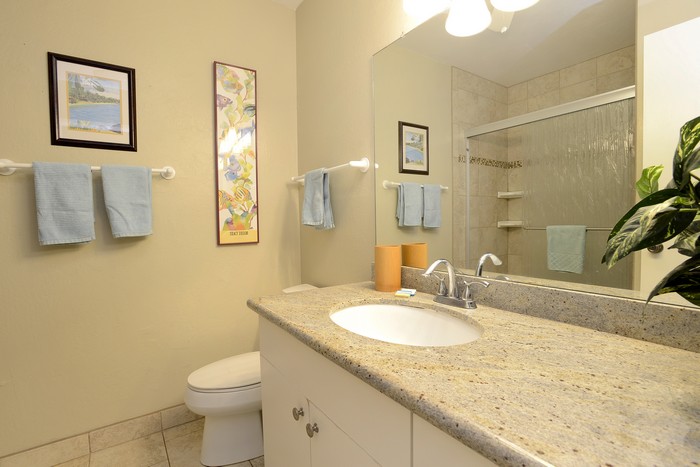 Wailea Condo 967675