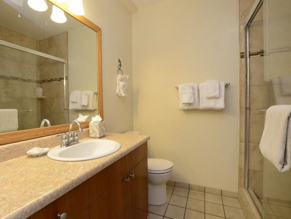 Wailea Condo 967685