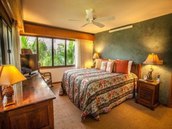 Wailea Condo 967687