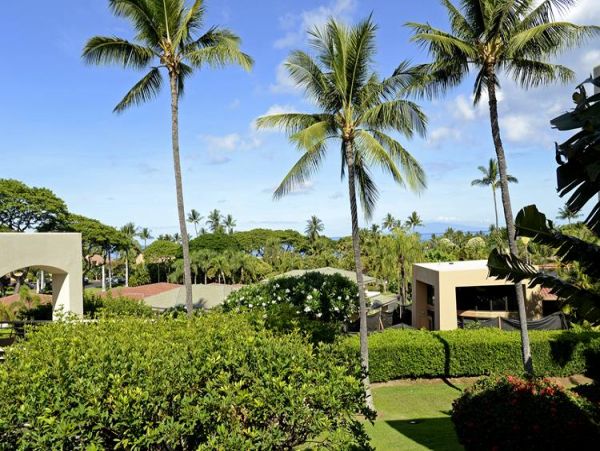 Wailea Condo 967691