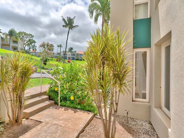 Wailea Condo 967693