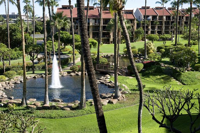 Wailea Condo 967694