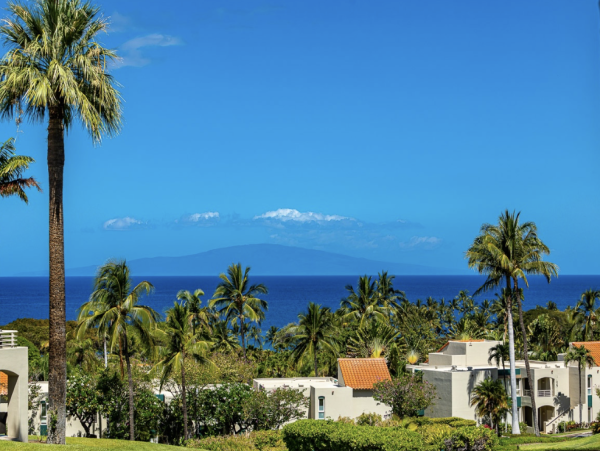 Wailea Spacious Villa Style Residence