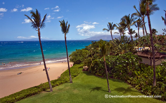 Wailea Condo 967713