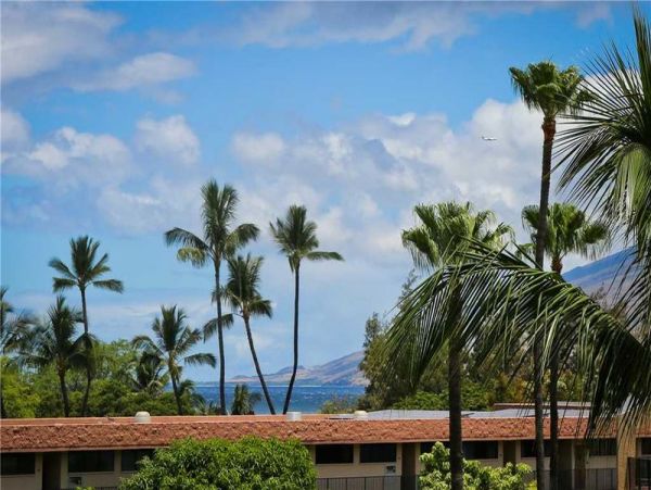 Wailea Condo 967716