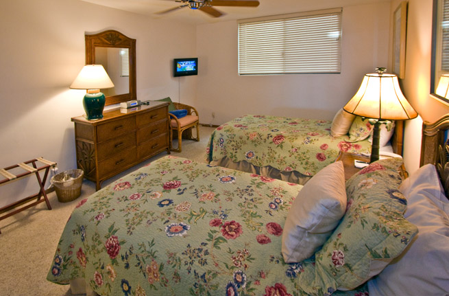 Wailea Condo 967719