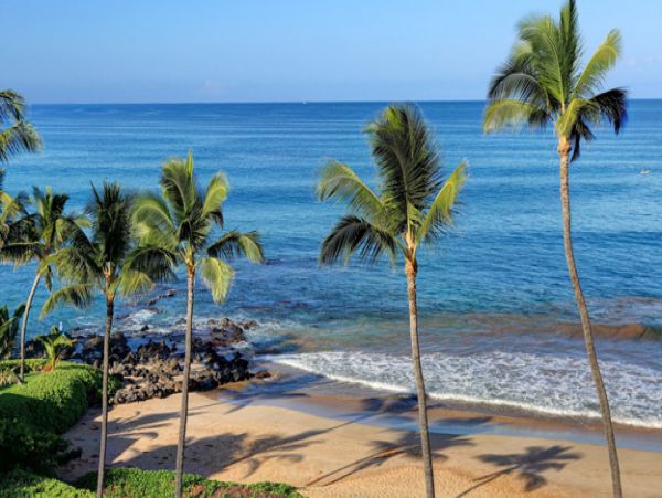 Wailea Condo 967721