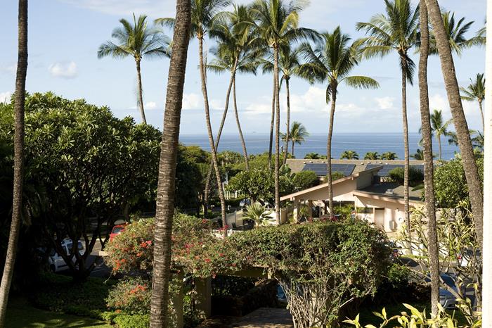 Wailea Condo 967726