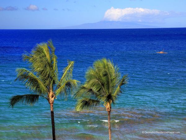 Wailea Condo 967729