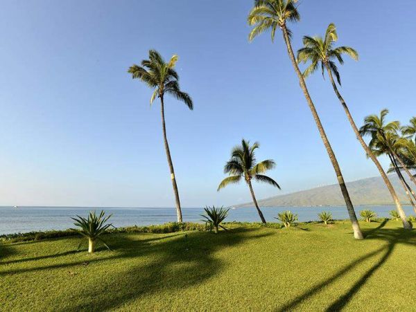Kihei Condo 967739