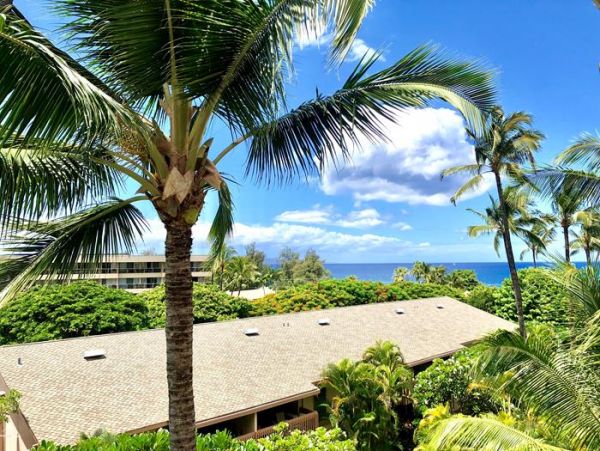 Wailea Condo 967742