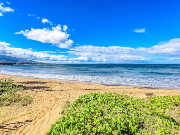 Kihei Oceanfront One Bedroom Condo. Wheelchair Accessible!
