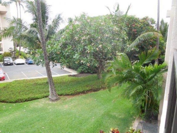 Wailea Condo 967753