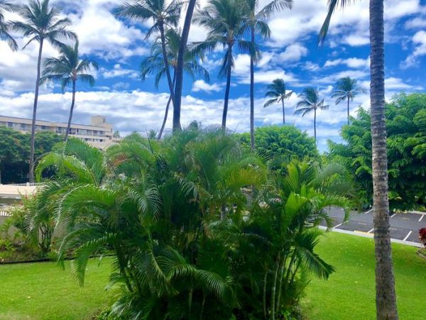 Wailea Condo 967757