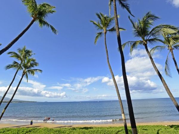 Kihei Condo 967773