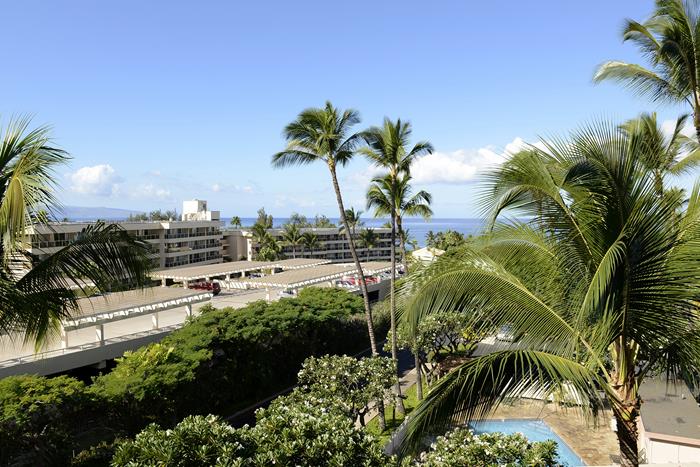 Wailea Condo 967778