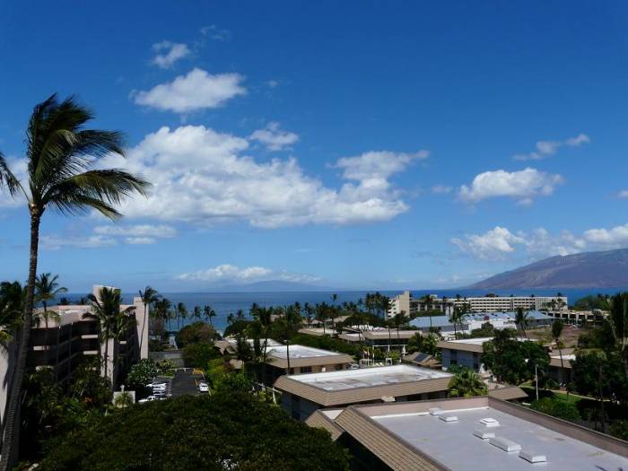 Wailea Condo 967782