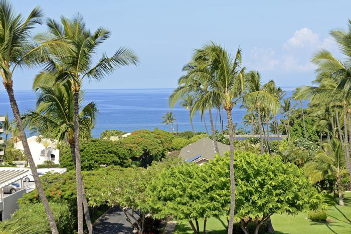 Wailea Condo 967788