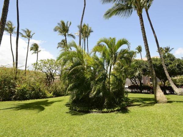 Wailea Condo 967798