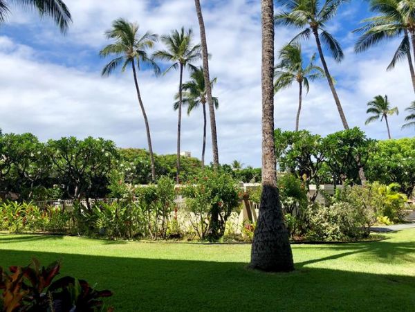 Wailea Condo 967800