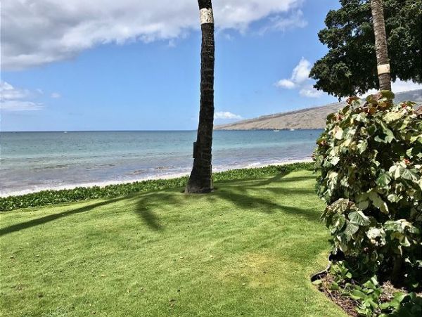 Kihei Condo 967838