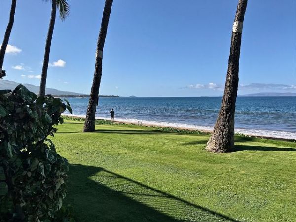 Kihei Condo 967844