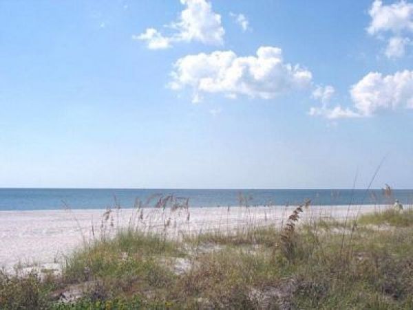 Treasure Island Condo 967869