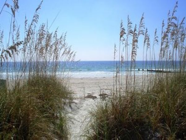 Treasure Island Condo 967869