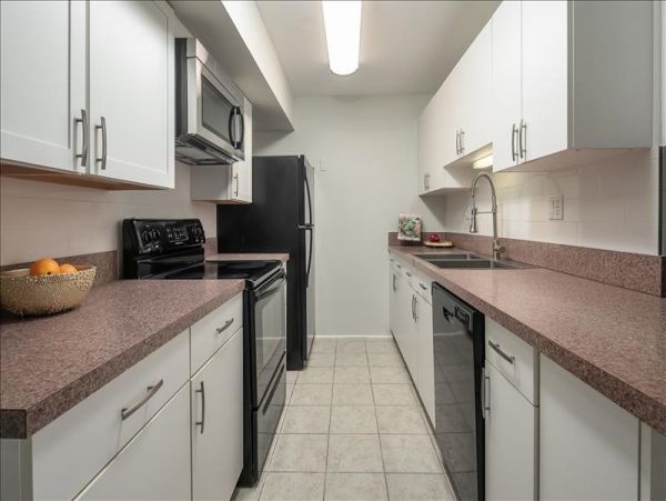 Treasure Island Condo 967891