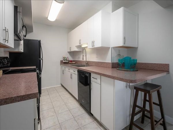 Treasure Island Condo 967891