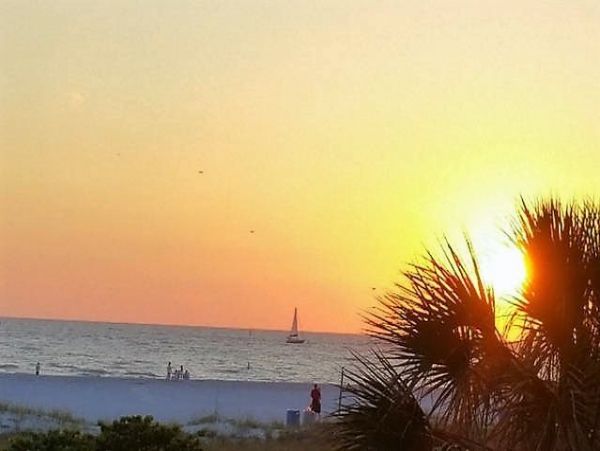Treasure Island Condo 967894