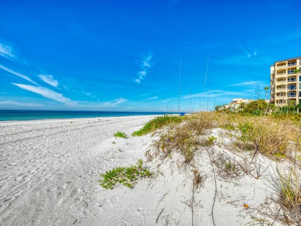 Indian Shores Ai Condo 967914