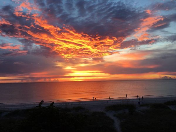 Indian Rocks Indian Shores Condo 967927
