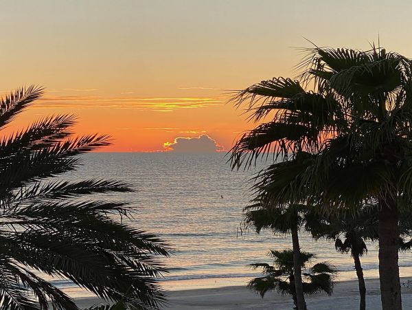 Indian Rocks Indian Shores Condo 967951