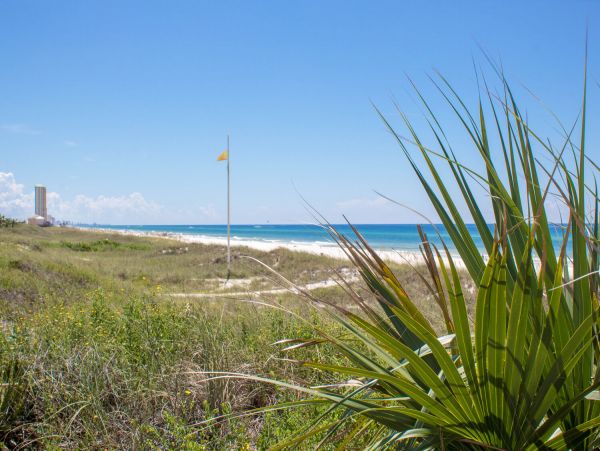 Beaches Of South Walton Condo 967960