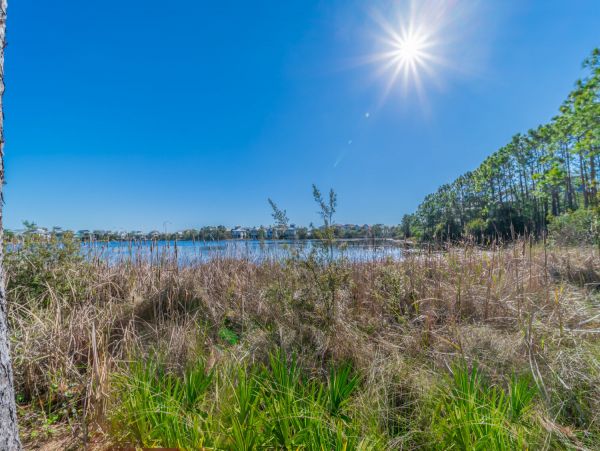 Beaches Of South Walton Home 968026