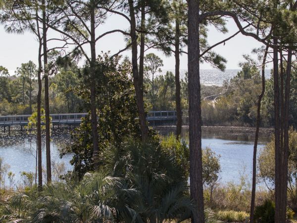 Beaches Of South Walton Home 968029