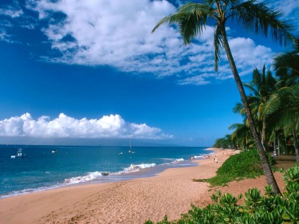 Elegant Oceanfront Retreat with Private Cove, Pool & Spa in Maui