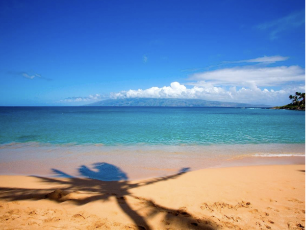 Three Bedroom Luxury Steps to Beach Vacation Home